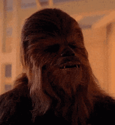 Chewbacca Being Serious GIF