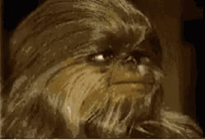 Chewbacca Close Up Face GIF
