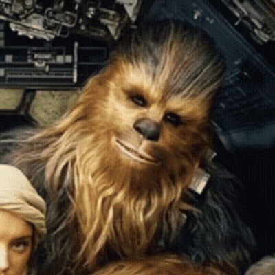 Chewbacca Close Up With Woman In Background GIF