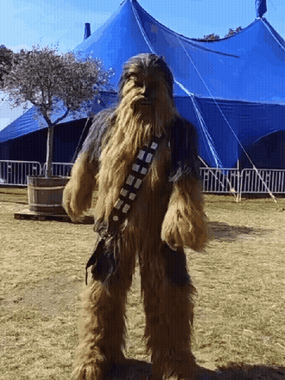 Chewbacca Costume In Field GIF