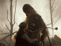Chewbacca Final Hug GIF