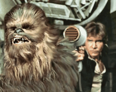 Chewbacca Holding Hair Dryer GIF