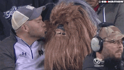 Chewbacca Kissing With A Man GIF