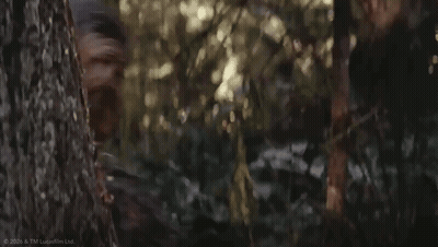 Chewbacca Peeking From Behind Tree GIF