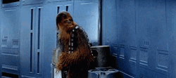 Chewbacca Shaking His Head GIF