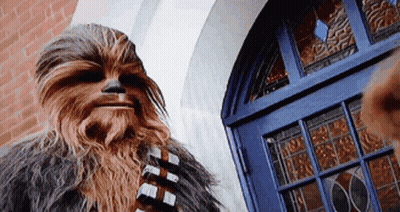 Chewbacca Standing In Front Of Door GIF