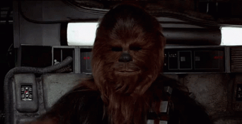 Chewbacca That's Right GIF