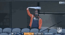 Chicago Bear Fan Down Celebrating GIF