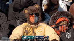 Chicago Bear Fan Down In Seats GIF