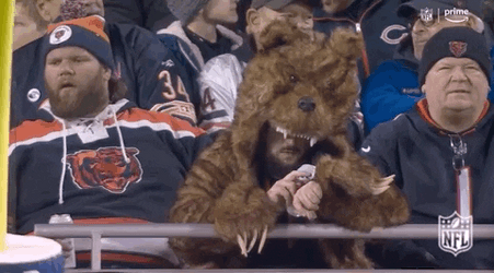 Chicago Bear Fans Bored Down GIF