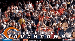 Chicago Bear Fans Celebrates On Touch Down GIF