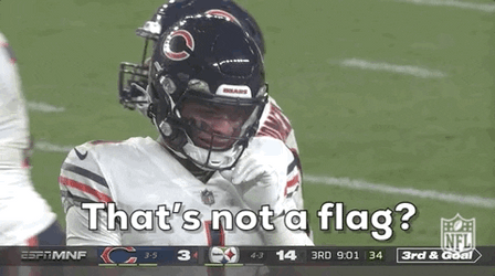 Chicago Bear Flag Down GIF