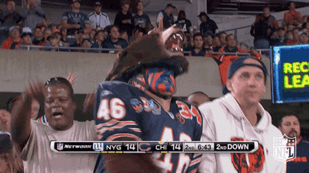 Chicago Bears Bear Head Hat GIF
