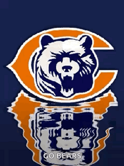 Chicago Bears Water Reflection GIF