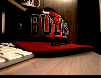 Chicago Bulls Bulls GIF