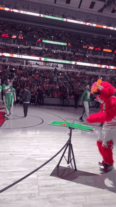 Chicago Bulls Mascot On Basketball Court GIF