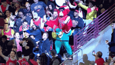 Chicago Bulls Mascot On Basketball Court GIF