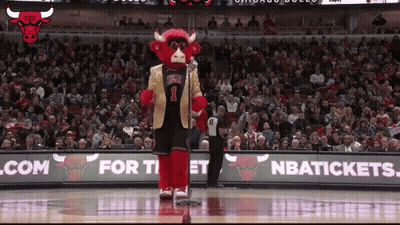 Chicago Bulls Mascot On Basketball Court With Crowd GIF