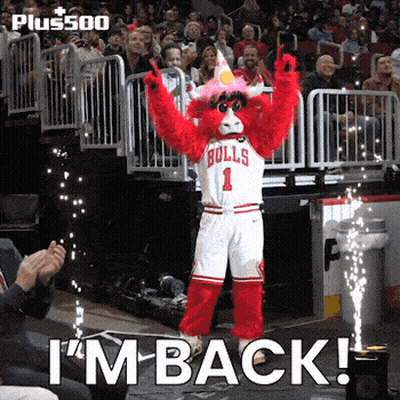 Chicago Bulls Mascot Standing On Court GIF