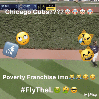 Chicago Cubs Baseball Game GIF