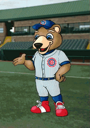 Chicago Cubs Cartoon Bear Mascot GIF