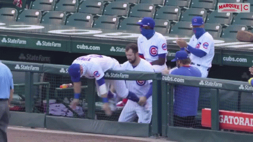 Chicago Cubs Logo With Bear GIF