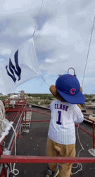 Chicago Cubs Mascot And Flag GIF