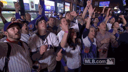 Chicago Cubs Team Celebrates GIF