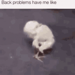 Chick Back Pain Meme GIF