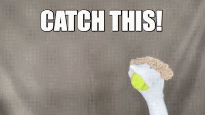 Chicken Catching Tennis Ball Saying Catch This GIF