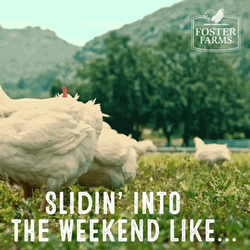 Chicken Dance Sliding Into The Weekend GIF