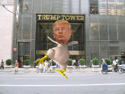 Chicken Donald Trump Dancing GIF