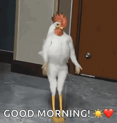 Chicken Dressed As Rooster Saying Good Morning GIF