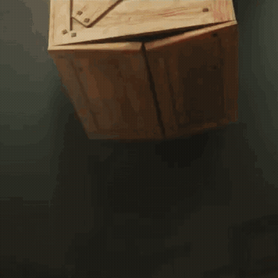 Chicken In Boxing Ring With Bear On Head GIF