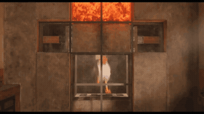 Chicken In Front Of Fireplace With Fire GIF