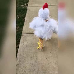 Chicken Little Parody Boy Costume GIF