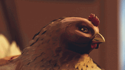 Chicken Looking Around GIF