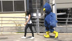 Chicken Mascot Follows The Girl GIF
