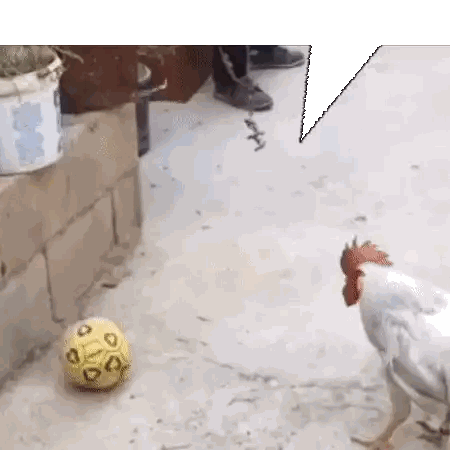 Chicken Next To Yellow Soccer Ball Number 10 Sticker