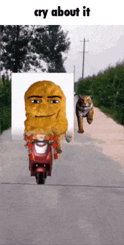 Chicken Nugget Driving Motorcycle Memes GIF