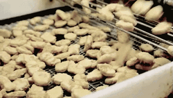 Chicken Nugget Molding Machine GIF