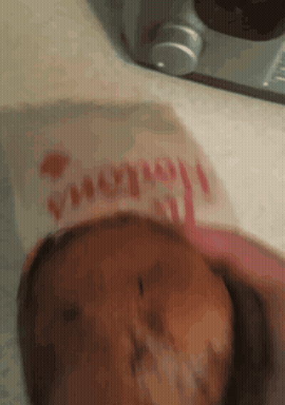 Chicken Sandwich On Paper Saying Wendy's GIF