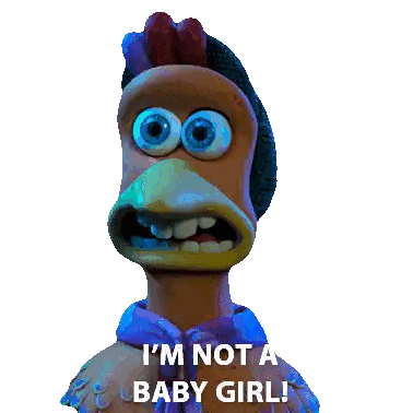 Chicken Saying I'm Not A Baby Girl Sticker