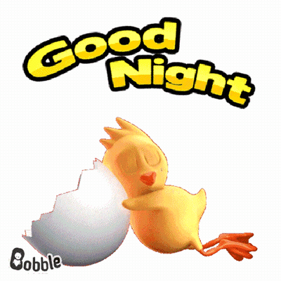 Chicken Sleeping In Egg Saying Good Night GIF