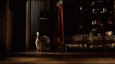 Chicken Standing On Tiled Floor Next To Rabbit GIF