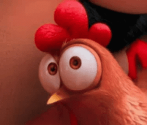 Chicken Suspicious Glare GIF