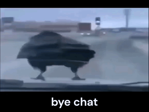 Chicken Walking On Road Bye Chat GIF