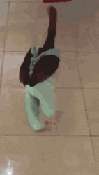 Chicken Wearing Dress GIF