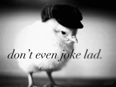 Chicken Wearing Hat Don T Even Joke Lad GIF