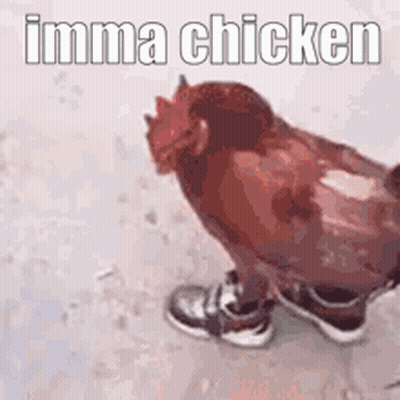 Chicken Wearing Shoes GIF